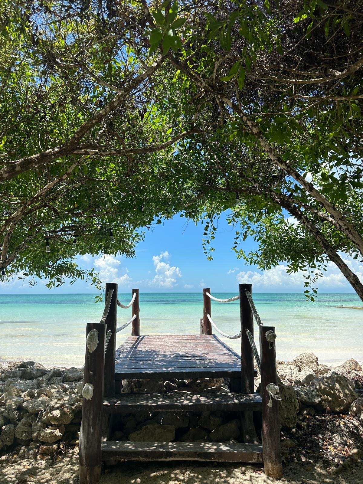 99b9d3d3-22c2-45cd-ad69-3a6cf8d9fc6f 2