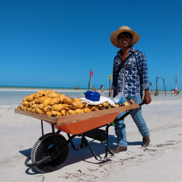 Fruta fresca en un puesto local de Isla Holbox